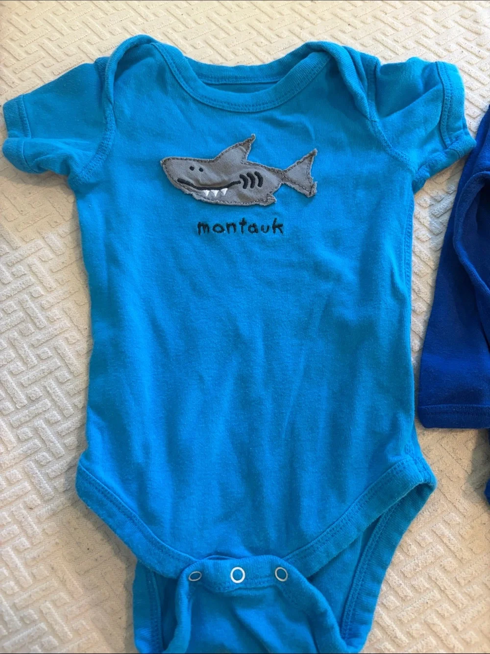 Montauk Shark & Long Island Baby Bodysuits - Blue Mix